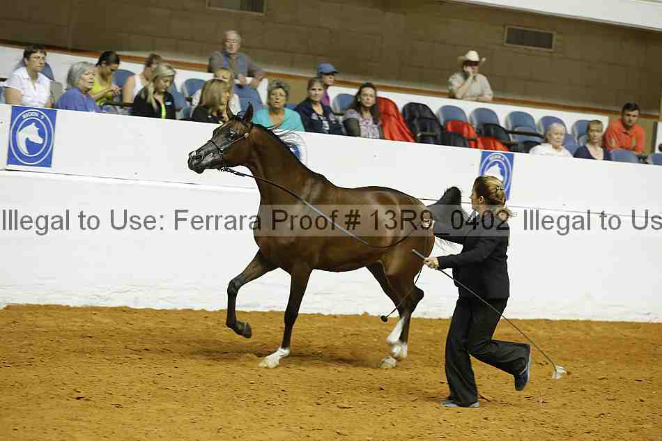 Proof 13r9_0402