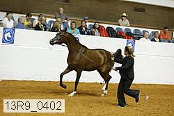 13r9_0402 proof