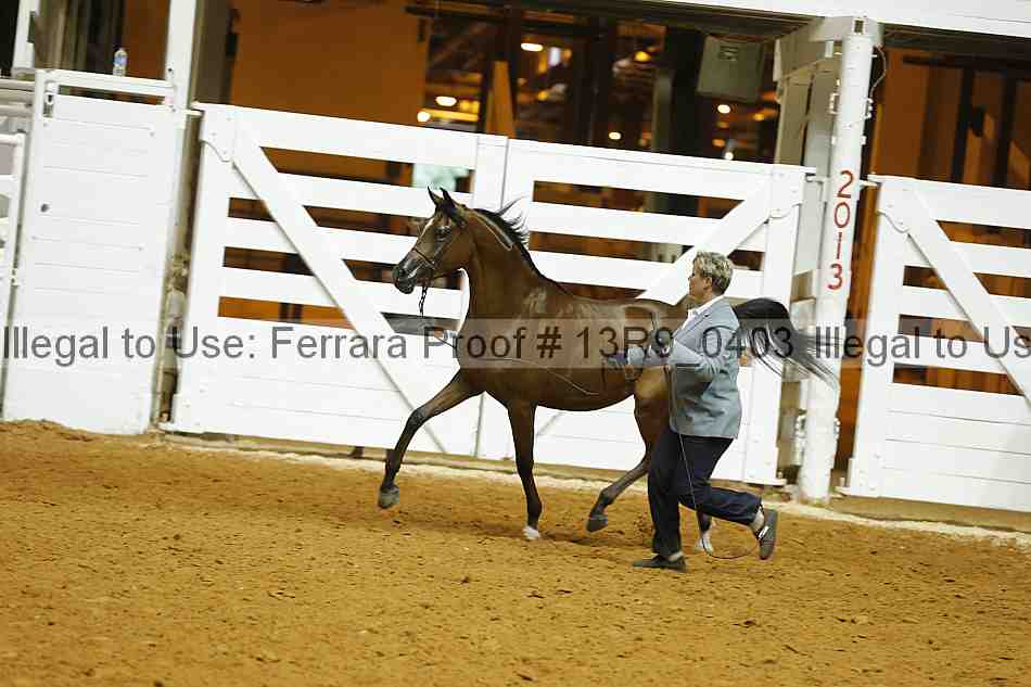Proof 13r9_0403