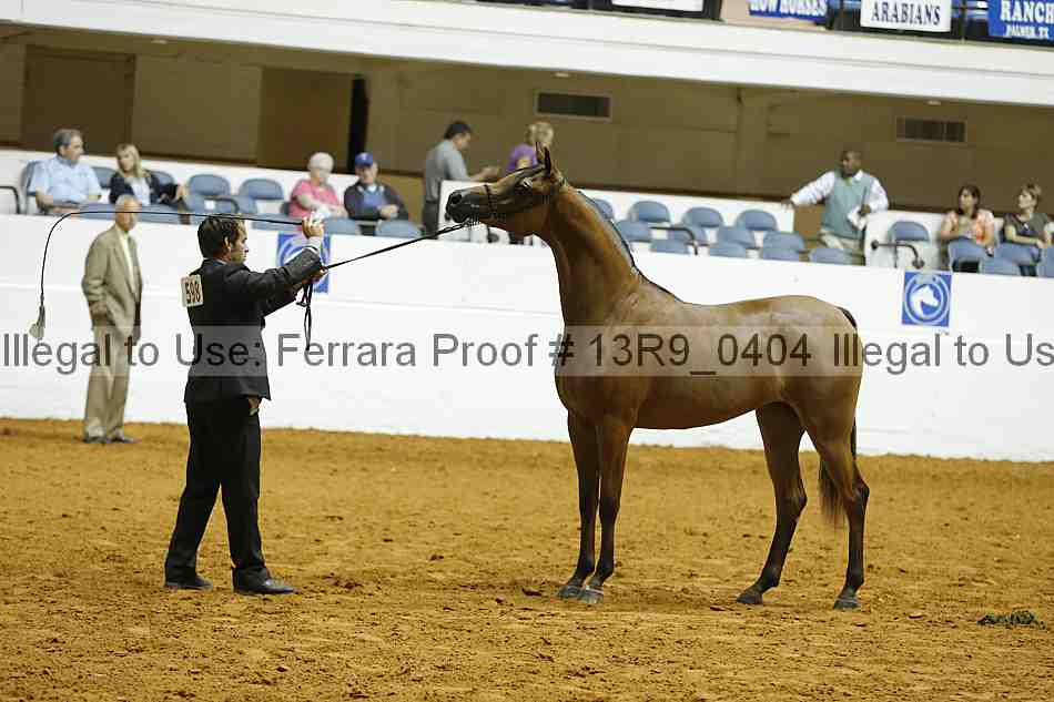 Proof 13r9_0404