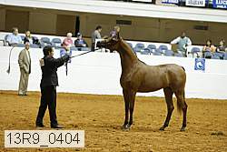13r9_0404 proof