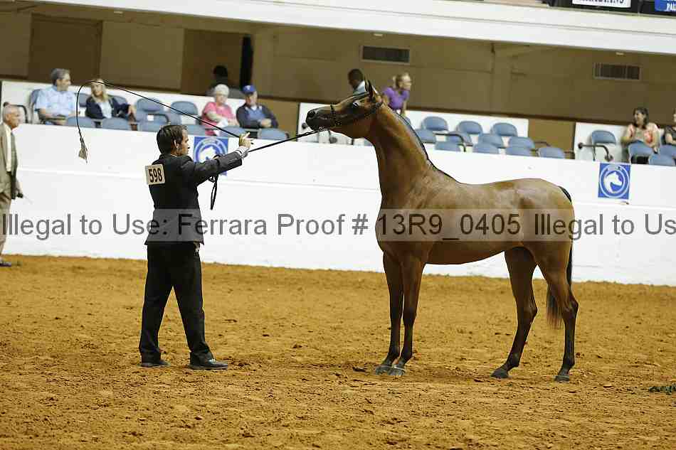 Proof 13r9_0405