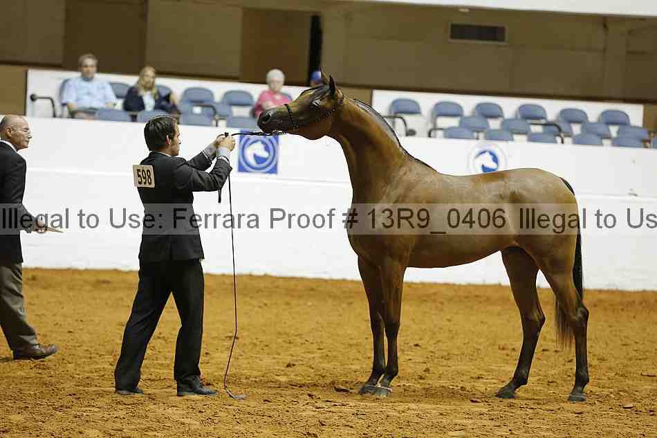 Proof 13r9_0406
