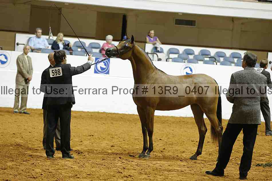 Proof 13r9_0407
