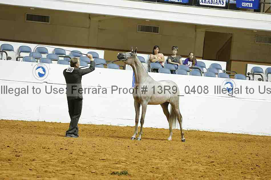 Proof 13r9_0408