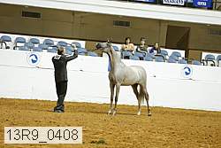 13r9_0408 proof