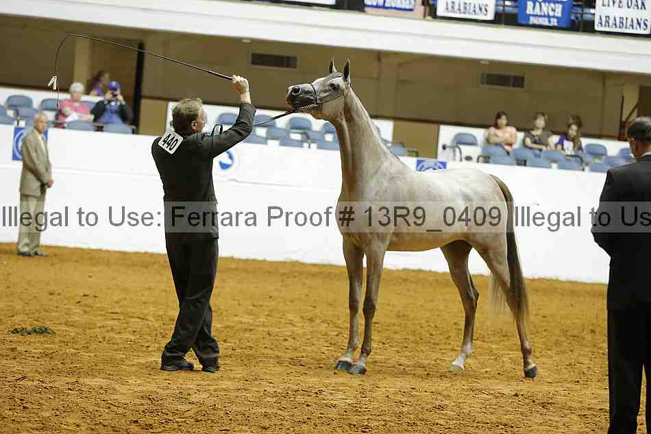 Proof 13r9_0409