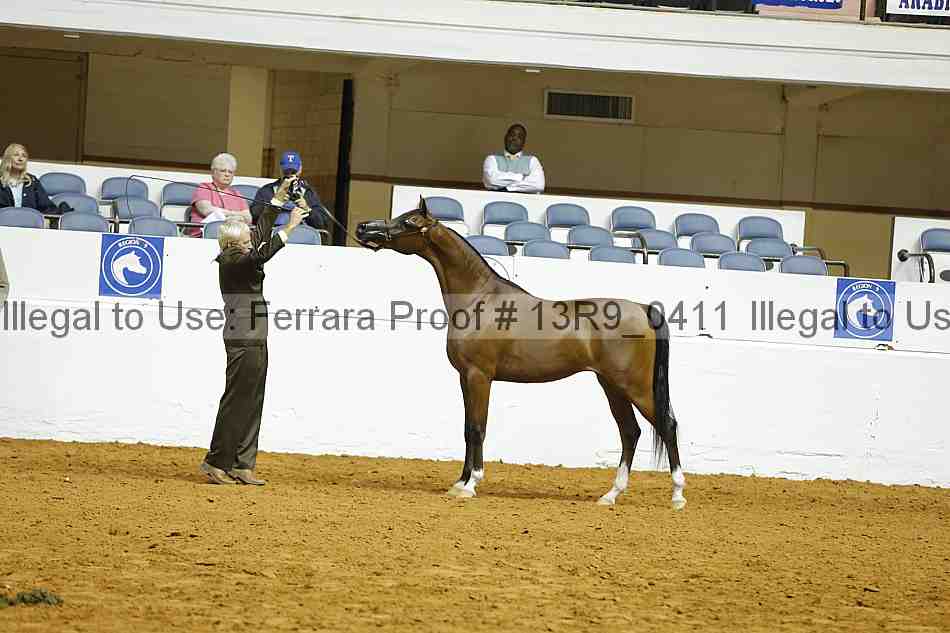 Proof 13r9_0411