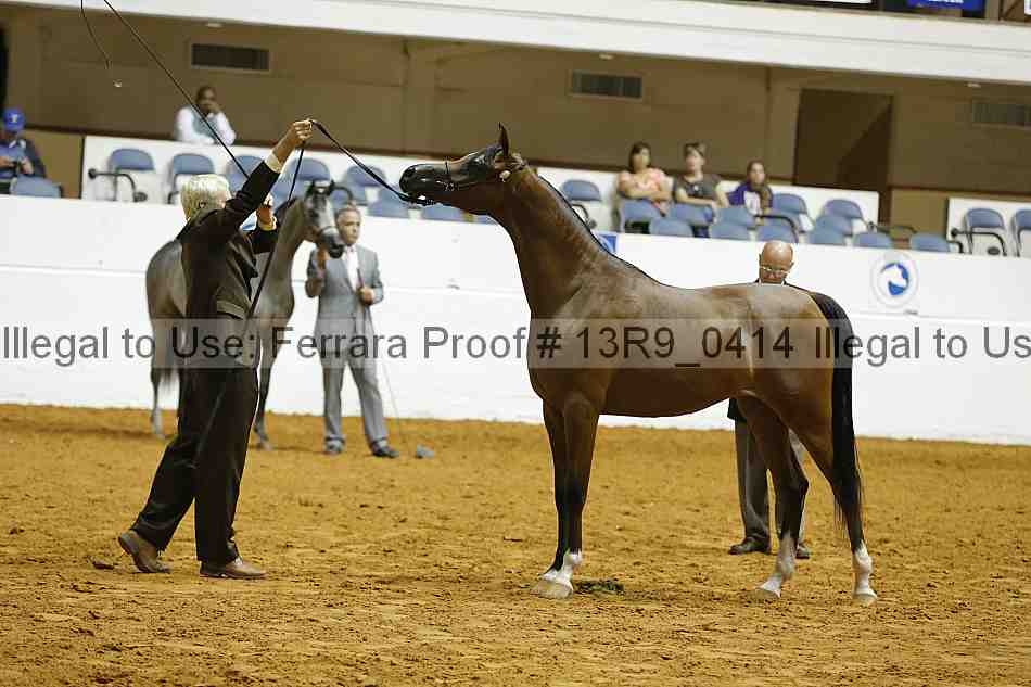 Proof 13r9_0414