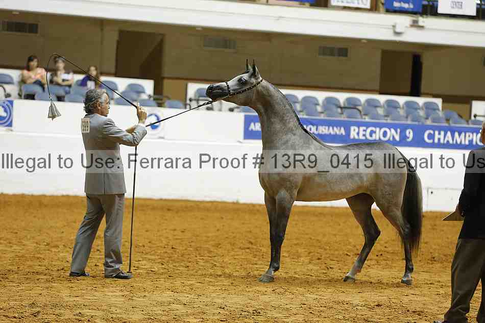 Proof 13r9_0415
