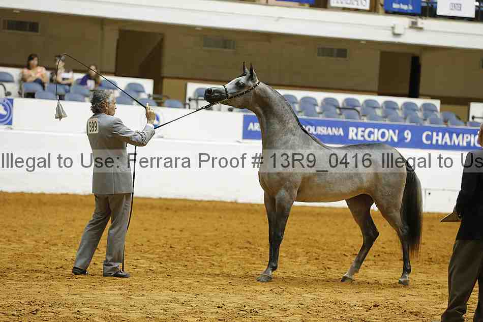 Proof 13r9_0416