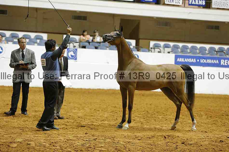Proof 13r9_0425