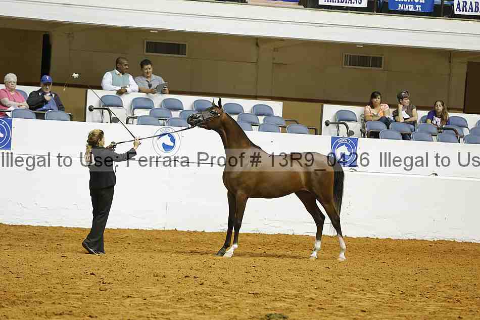 Proof 13r9_0426