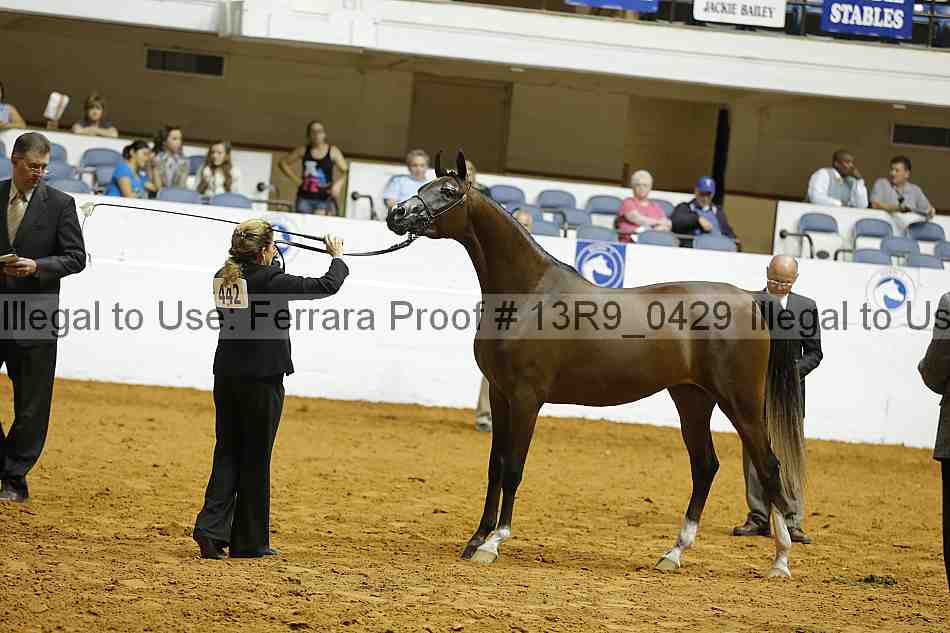 Proof 13r9_0429