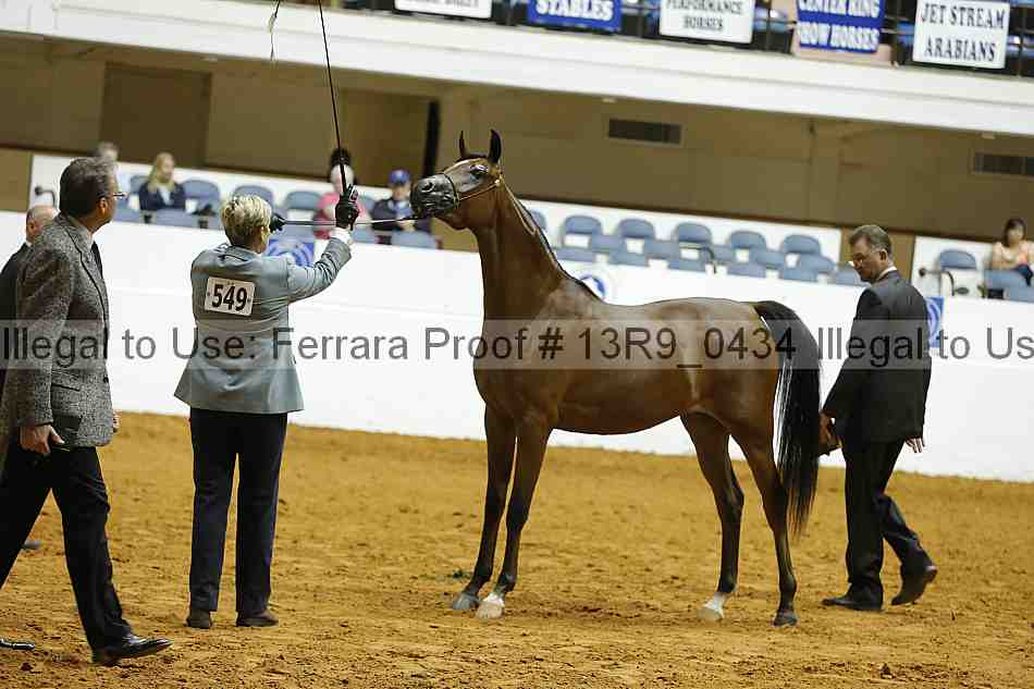 Proof 13r9_0434