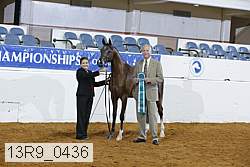 13r9_0436 proof
