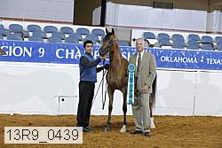 13r9_0439 proof