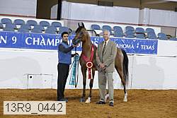 13r9_0442 proof