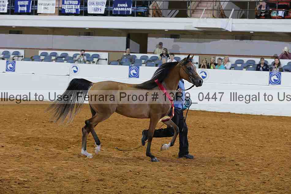 Proof 13r9_0447