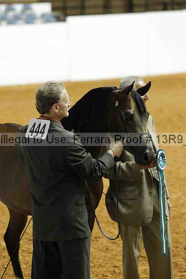 Proof 13r9_0389