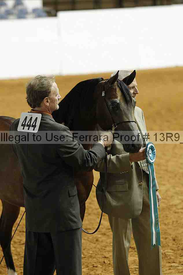 Proof 13r9_0390