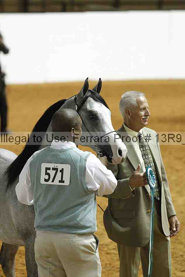 Proof 13r9_0391