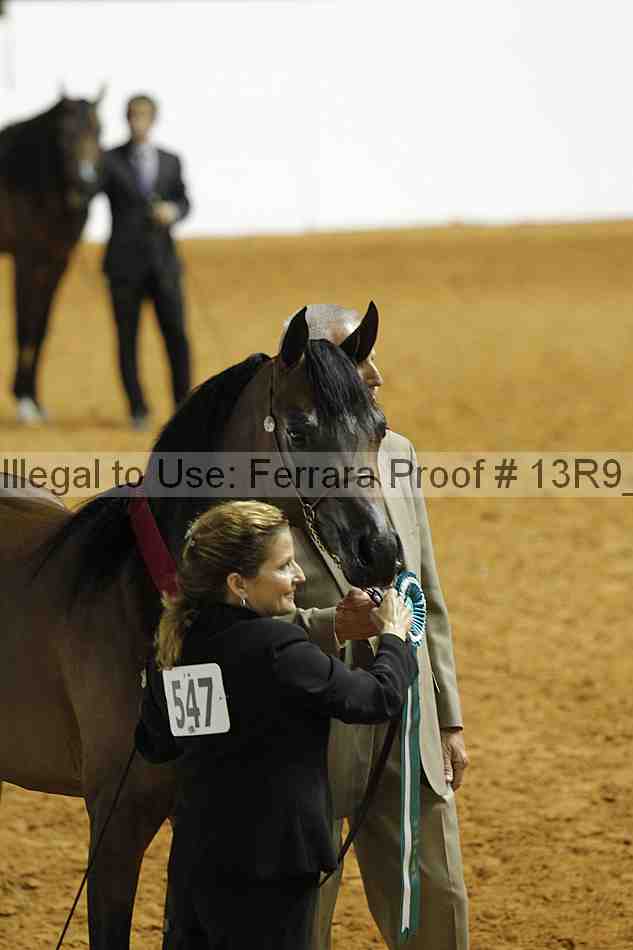 Proof 13r9_0393