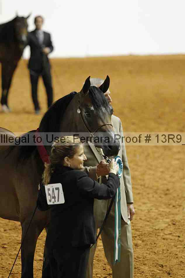 Proof 13r9_0394