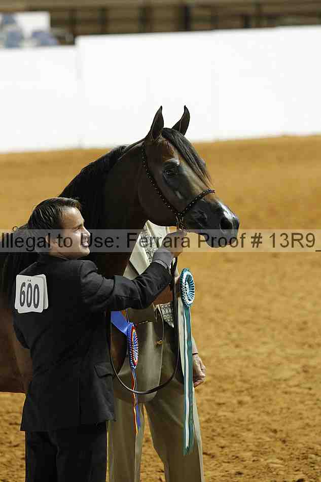 Proof 13r9_0397