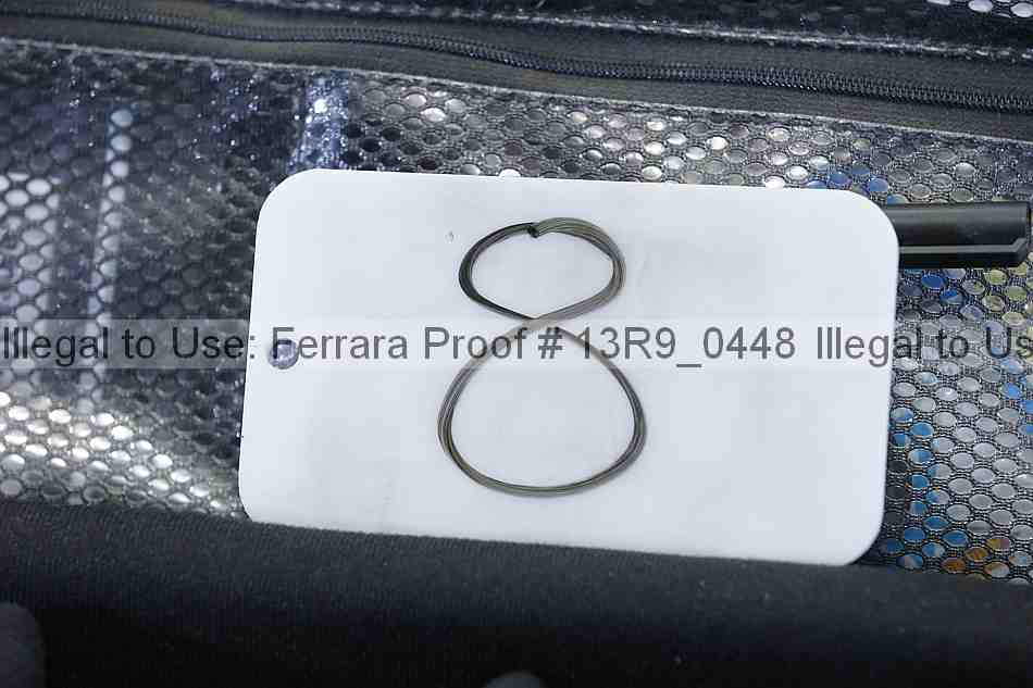 Proof 13r9_0448