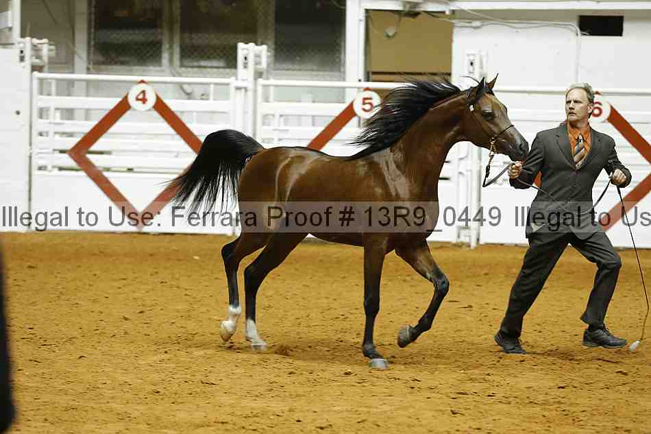 Proof 13r9_0449