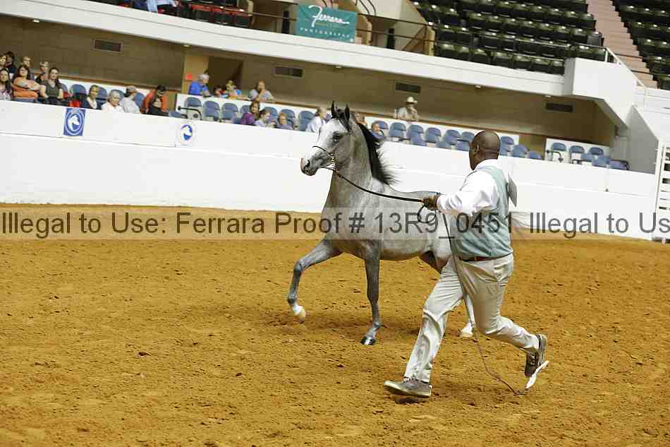 Proof 13r9_0451