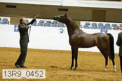 13r9_0452 proof