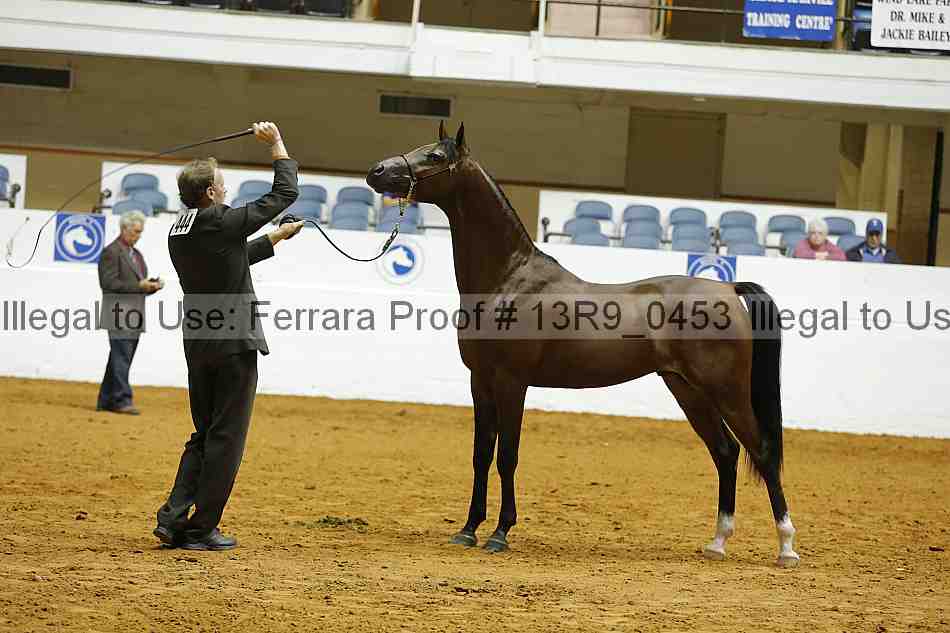 Proof 13r9_0453