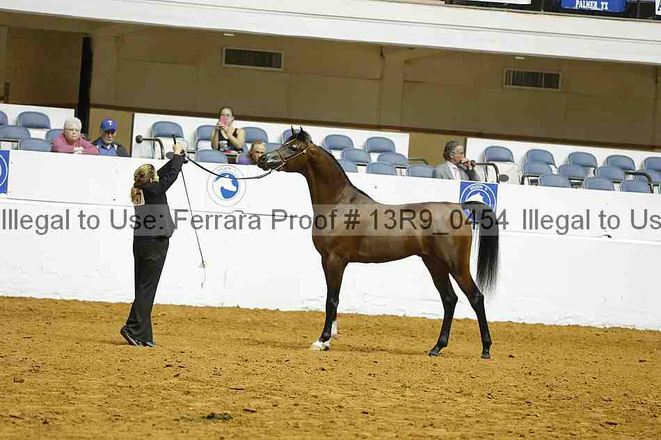 Proof 13r9_0454