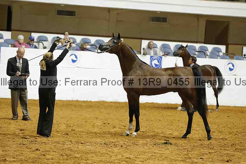 Proof 13r9_0455