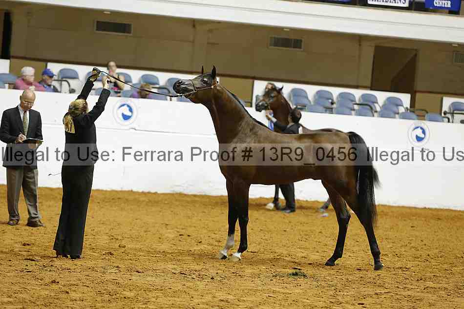 Proof 13r9_0456