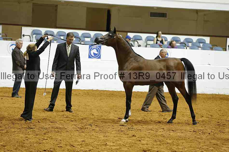 Proof 13r9_0457