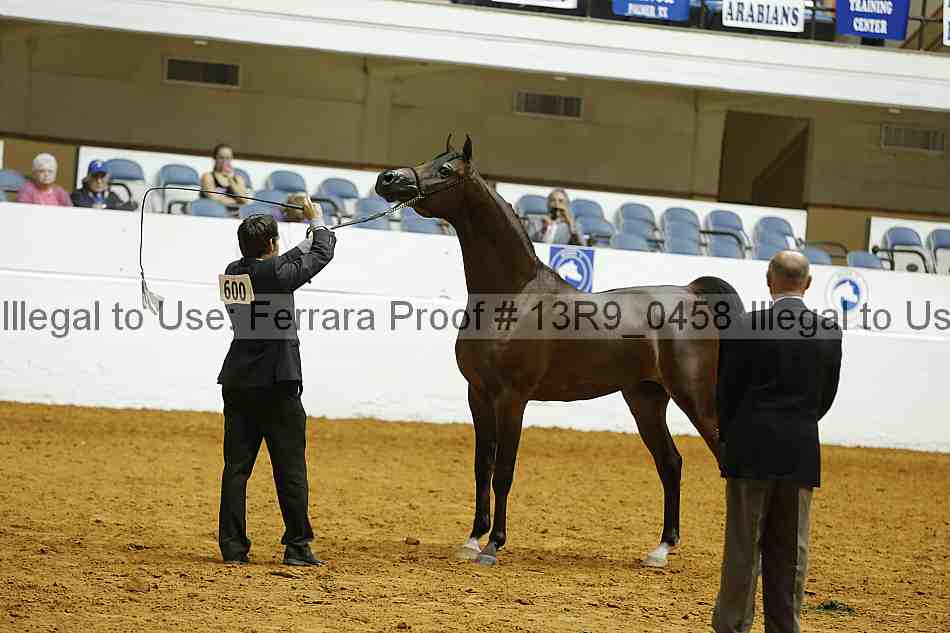 Proof 13r9_0458