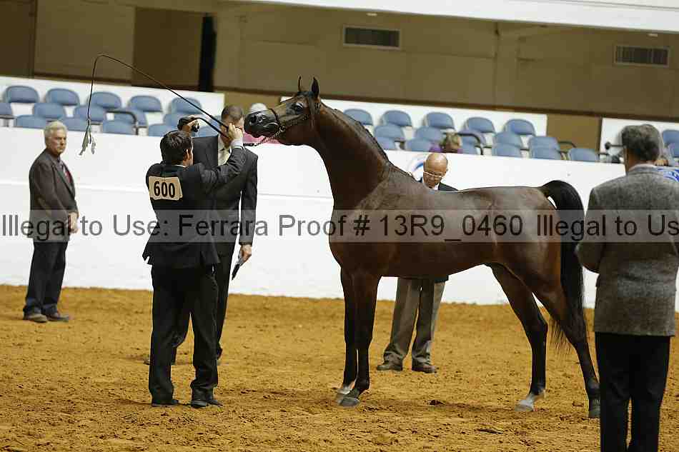 Proof 13r9_0460