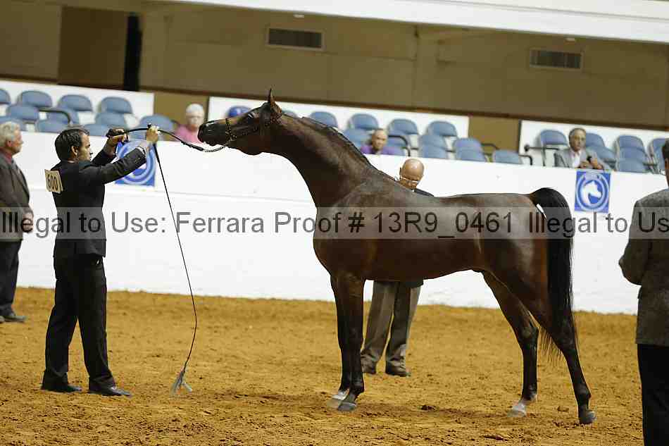 Proof 13r9_0461