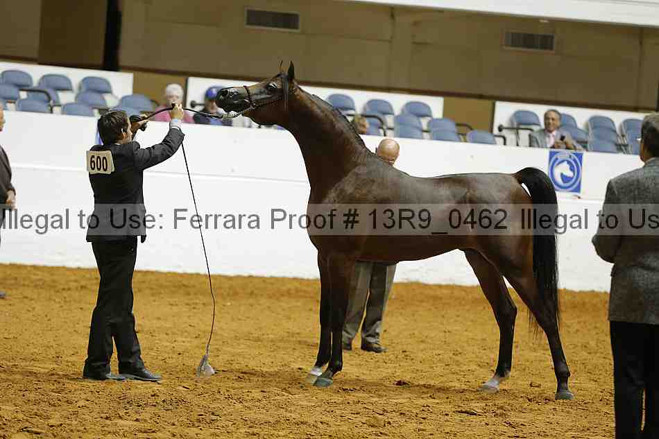 Proof 13r9_0462