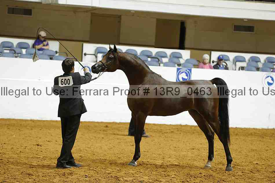 Proof 13r9_0463