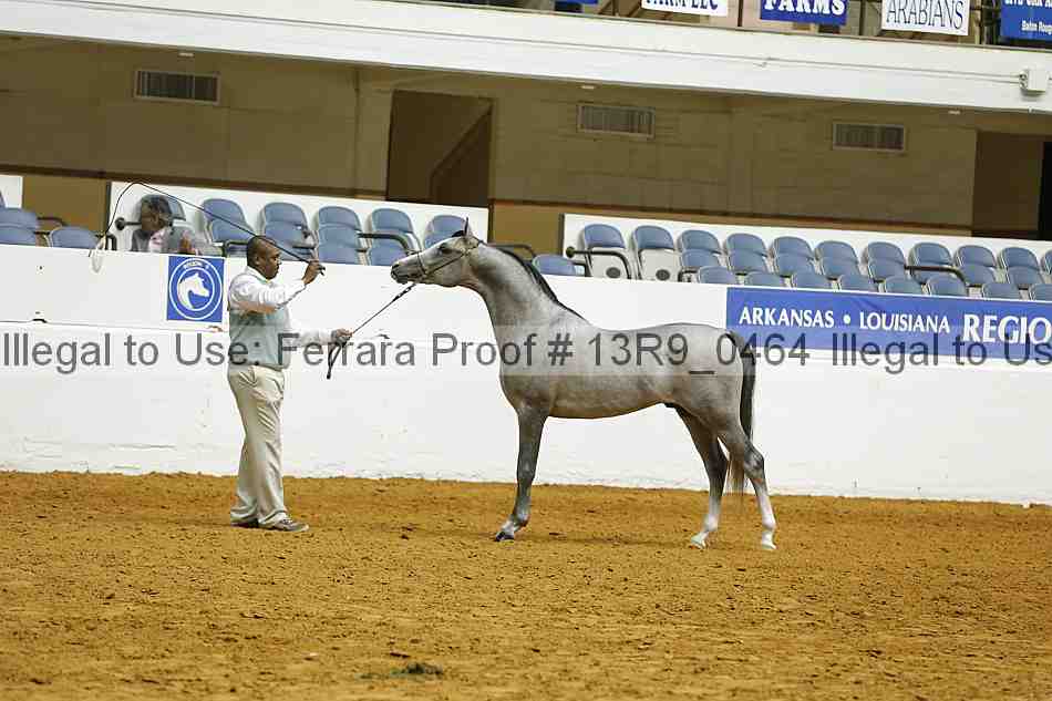 Proof 13r9_0464