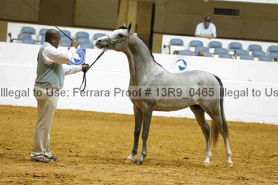 Proof 13r9_0465