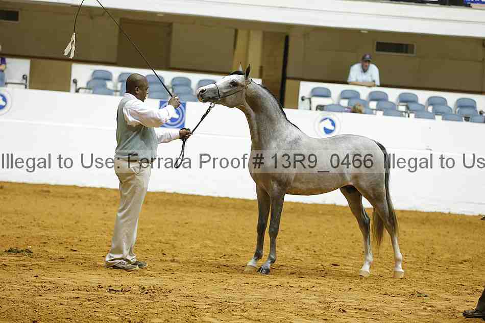 Proof 13r9_0466