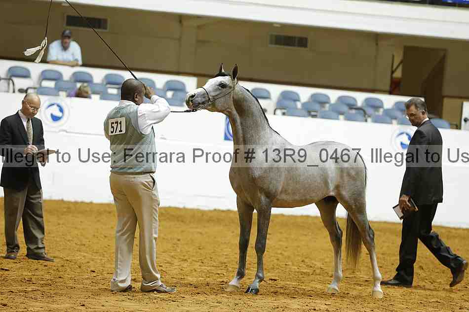 Proof 13r9_0467