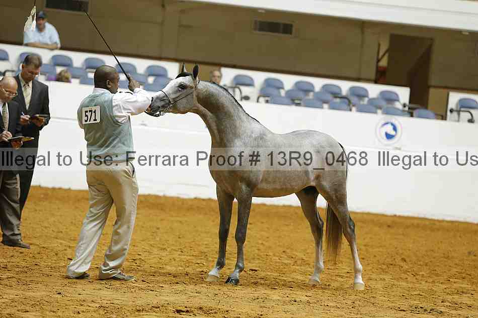 Proof 13r9_0468