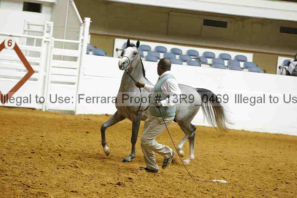 Proof 13r9_0469