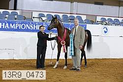 13r9_0473 proof